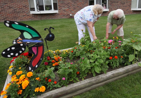 Maplewood of Mt. Pleasant: Garden